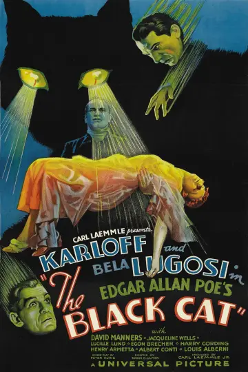 Poster to the movie "The Black Cat" #1095142
