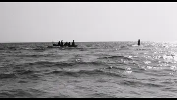 Backdrop to the movie "The Gospel According to St. Matthew" #987405