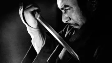 Backdrop to the movie "Zatoichi Meets the One-Armed Swordsman" #1622255