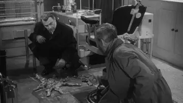 Backdrop to the movie "The Quatermass Xperiment" #413957