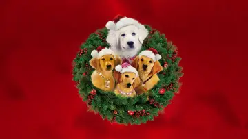 Backdrop to the movie "Santa Buddies" #346740