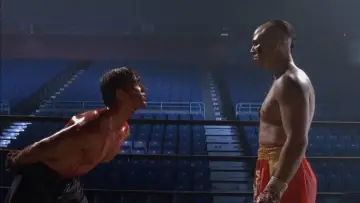 Backdrop to the movie "Kickboxer 2: The Road Back" #1549076
