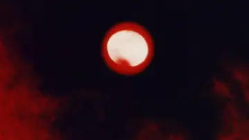 Backdrop to the movie "Messiah of Evil" #1168195