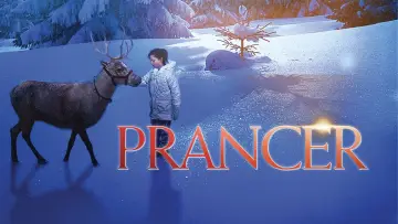 Backdrop to the movie "Prancer" #719224