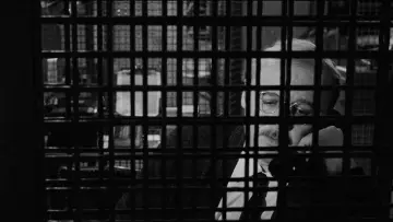 Backdrop to the movie "The Pawnbroker" #1055088