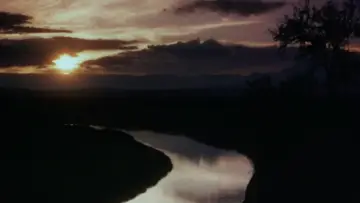 Backdrop to the movie "Mogambo" #1034864
