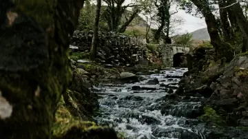 Backdrop to the movie "Leap Year" #1165780