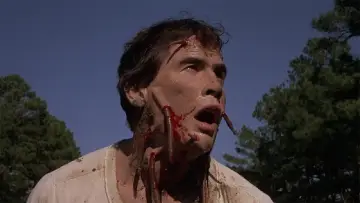 Backdrop to the movie "Squirm" #1052362