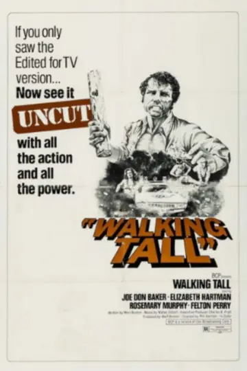 Poster to the movie "Walking Tall" #1071184