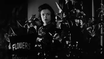 Backdrop to the movie "Cat People" #993882