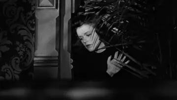 Backdrop to the movie "Cat People" #993893