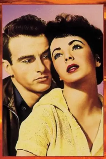 Poster to the movie "A Place in the Sun" #989049