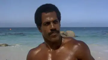 Backdrop to the movie "American Ninja 2: The Confrontation" #1010063