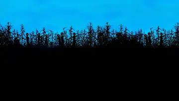 Backdrop to the movie "Children of the Corn II: The Final Sacrifice" #1022491