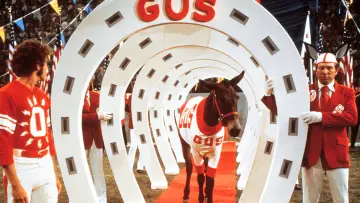 Backdrop to the movie "Gus" #730479