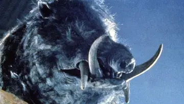 Backdrop to the movie "Razorback" #390640