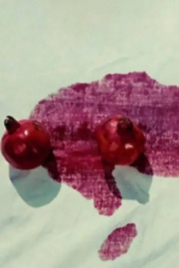 Poster to the movie "The Color of Pomegranates" #1052277