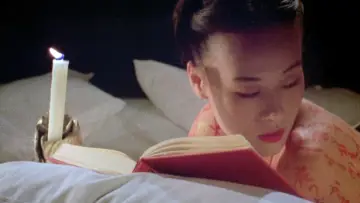 Backdrop to the movie "The Pillow Book" #450634