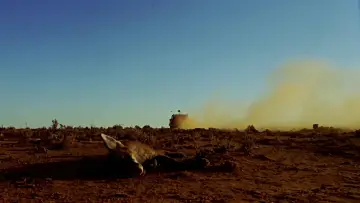 Backdrop to the movie "Wake in Fright" #1044156