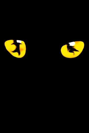 Poster to the movie "Cats" #392210
