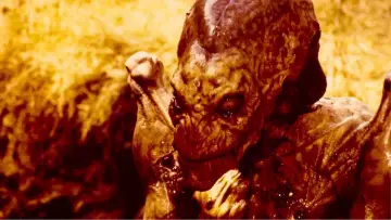 Backdrop to the movie "Pumpkinhead" #293095