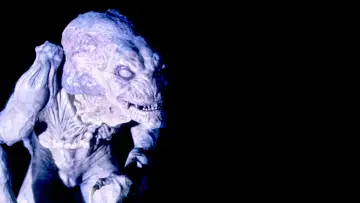 Backdrop to the movie "Pumpkinhead" #891008