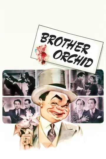 Poster to the movie "Brother Orchid" #1129627