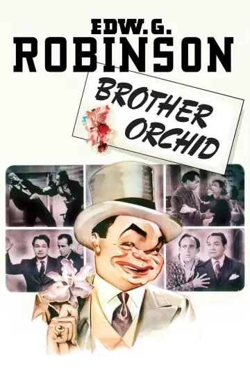 Poster to the movie "Brother Orchid" #1129628