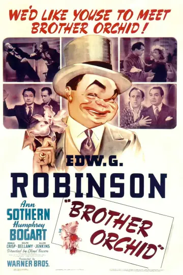 Poster to the movie "Brother Orchid" #1129630