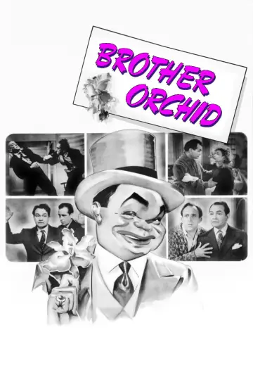Poster to the movie "Brother Orchid" #1129631