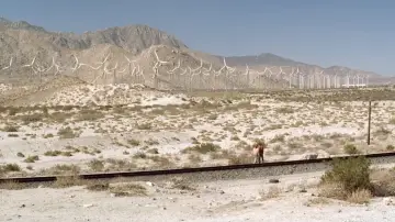 Backdrop to the movie "Twentynine Palms" #1204280