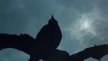 Backdrop to the movie "Blood on Satan