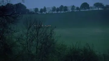 Backdrop to the movie "Blood on Satan