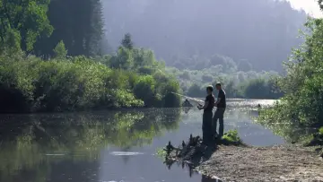 Backdrop to the movie "Redwoods" #1132117