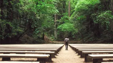 Backdrop to the movie "Redwoods" #1132120