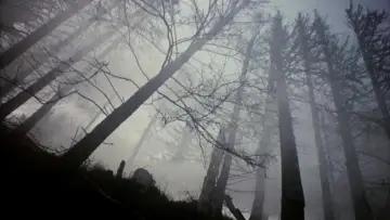 Backdrop to the movie "Shadows of Forgotten Ancestors" #1087815
