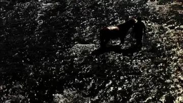Backdrop to the movie "Shadows of Forgotten Ancestors" #1087816