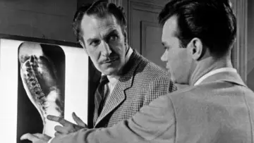 Backdrop to the movie "The Tingler" #1094476