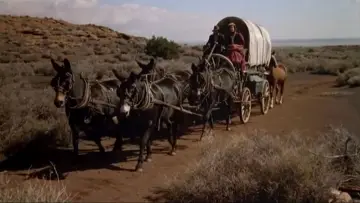 Backdrop to the movie "The Quick and the Dead" #923313