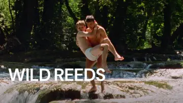 Backdrop to the movie "Wild Reeds" #1084769