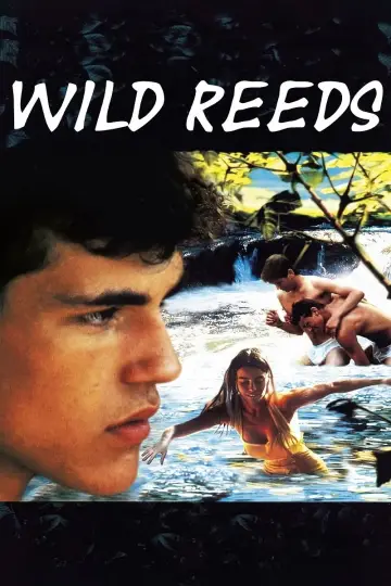 Poster to the movie "Wild Reeds" #1084778
