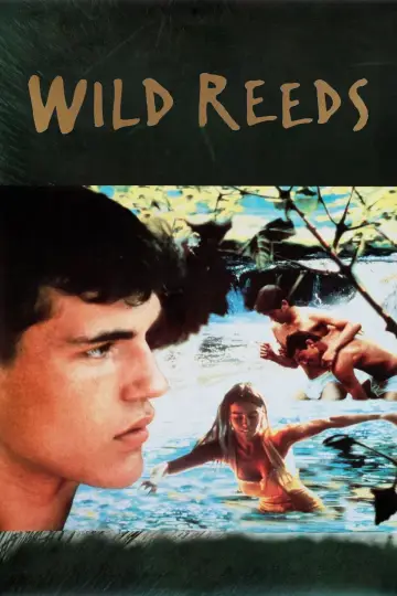 Poster to the movie "Wild Reeds" #1084781