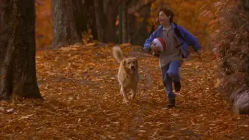 Backdrop to the movie "Air Bud" #950733