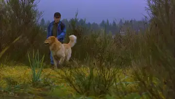 Backdrop to the movie "Air Bud" #950734