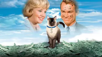 Backdrop to the movie "That Darn Cat!" #1039940