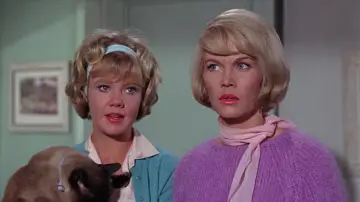 Backdrop to the movie "That Darn Cat!" #401057