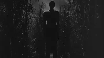 Backdrop to the movie "I Walked with a Zombie" #1096427