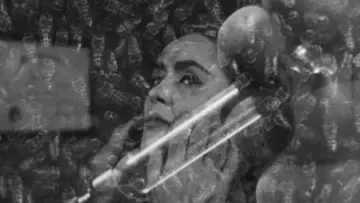 Backdrop to the movie "The Wasp Woman" #1109889