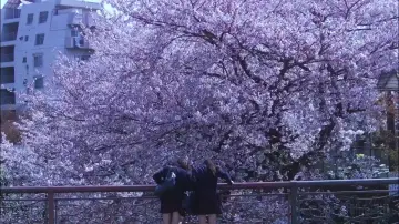 Backdrop to the movie "Hana & Alice" #1071974