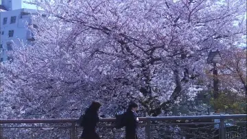 Backdrop to the movie "Hana & Alice" #1071975